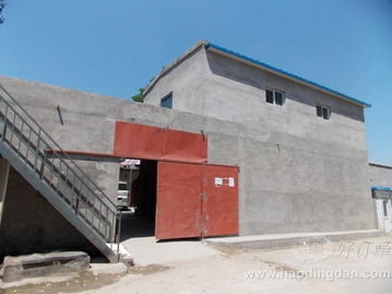 女短褲 服裝與面輔料的完美結(jié)合